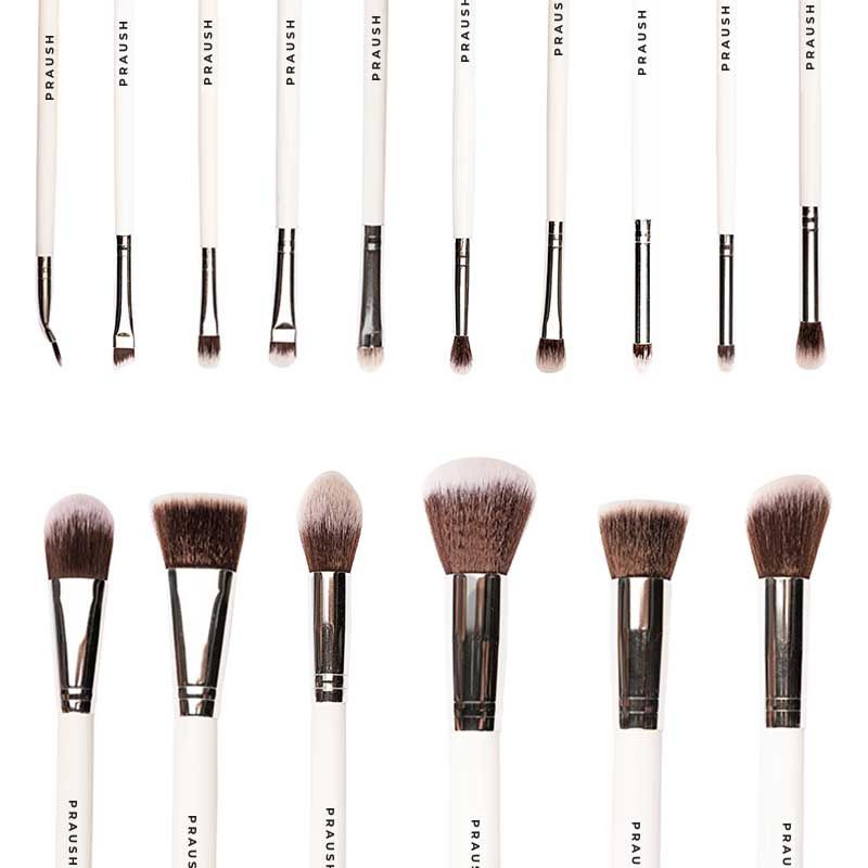 Praush 16 Pcs Professional Makeup Brush Set For Face & Eyes With Makeup Pouch